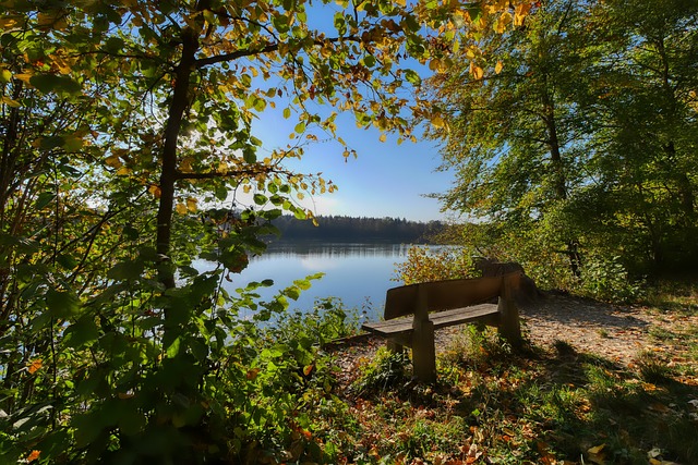 他的表现却 他的表现却