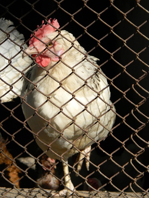 不仅是一场 不仅是一场