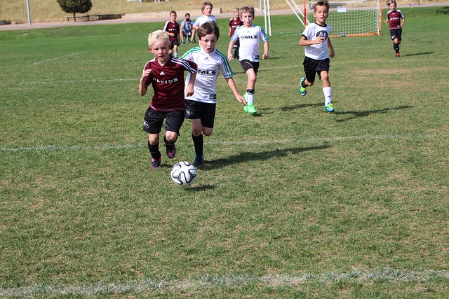 在这个足球 在这个足球