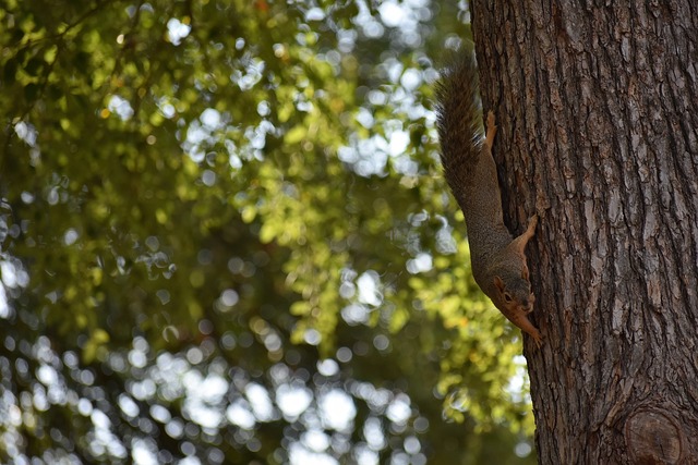 戰術理念仍 戰術理念仍