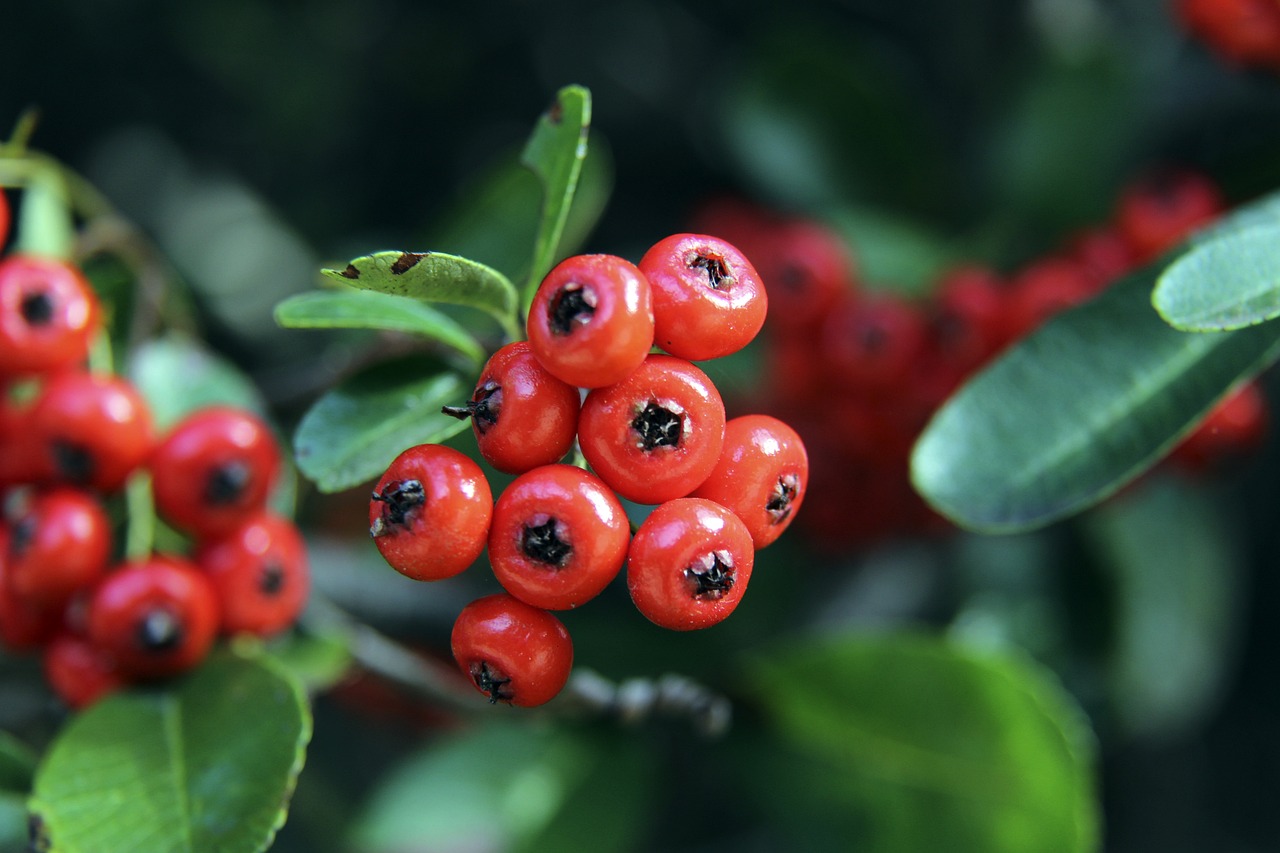 个关键时刻 个关键时刻