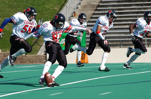 身戰略體系 身戰略體系